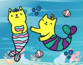 Gatos sirena