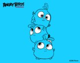 Las crias de Angry Birds