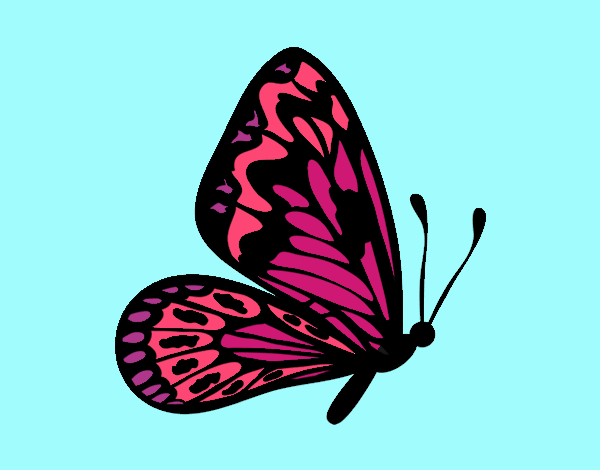 Mariposa rosa