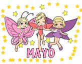 Mayo