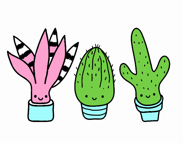 Mini cactus