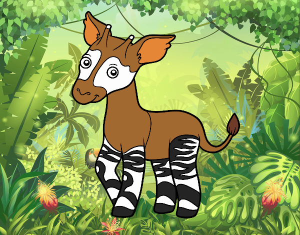 okapi