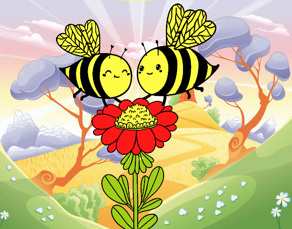 Pareja de abejas