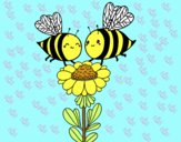 Pareja de abejas