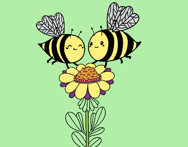 Pareja de abejas