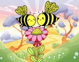 Pareja de abejas