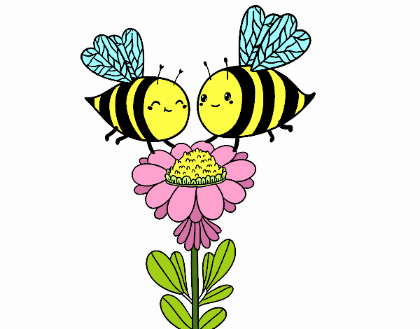 Pareja de abejas