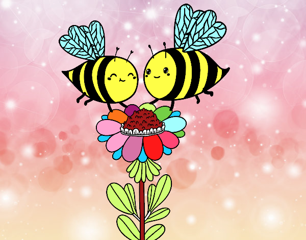 Pareja de abejas