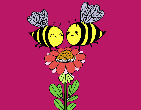 Pareja de abejas