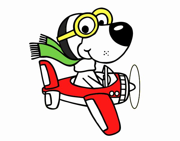 Perro piloto