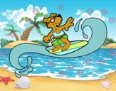 Perro surfeando