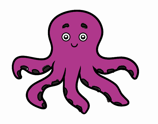 Pulpo 