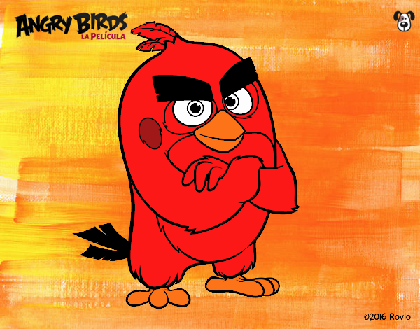 Red de Angry Birds