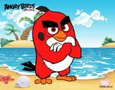 Red de Angry Birds