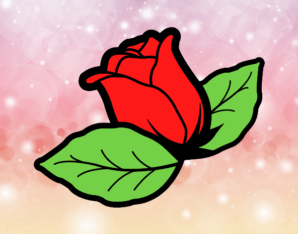 mi rosa