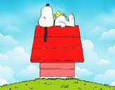 Snoopy durmiendo