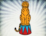 Tigre de circo