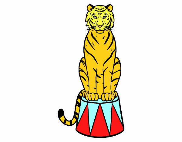 Tigre de circo