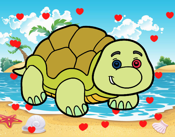 tortugota feliz que tiene una esposa y un hijo de 11 años