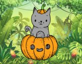 Un gatito de Halloween