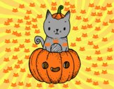 Un gatito de Halloween