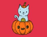 Un gatito de Halloween