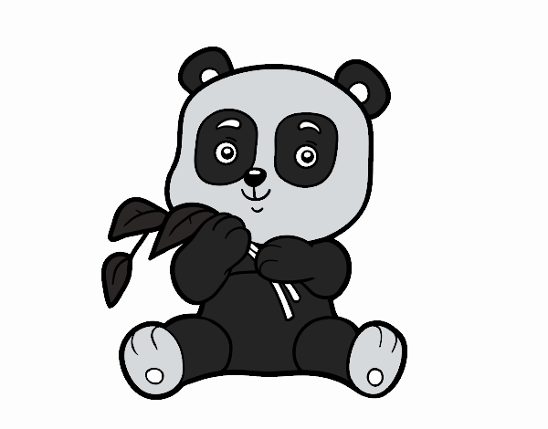 Un oso panda