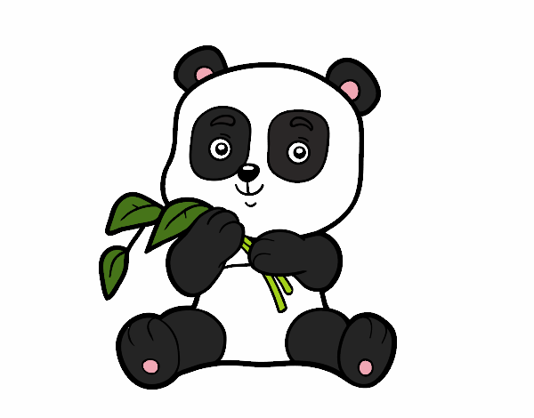 Un oso panda