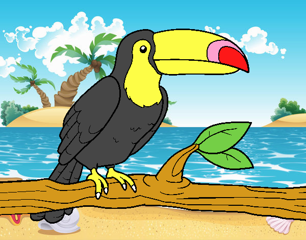 Tucan Negro