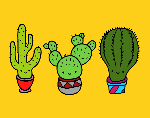 3 mini cactus