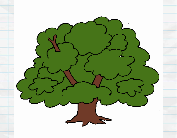 Árbol