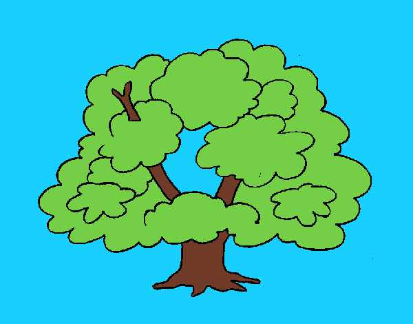 Árbol