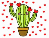 Cactus corazón