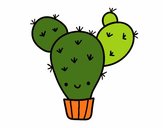 Cactus nopal