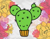 Cactus nopal