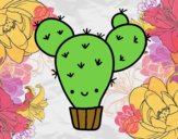 Cactus nopal