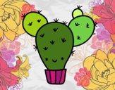 Cactus nopal