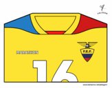 Camiseta del mundial de fútbol 2014 de Ecuador