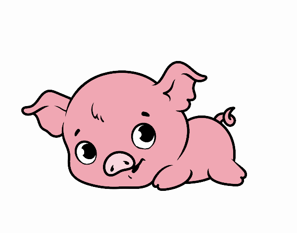 Cerdito bebé