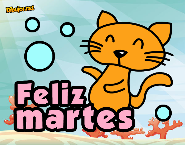 Feliz martes