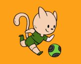 Gato jugando a fútbol