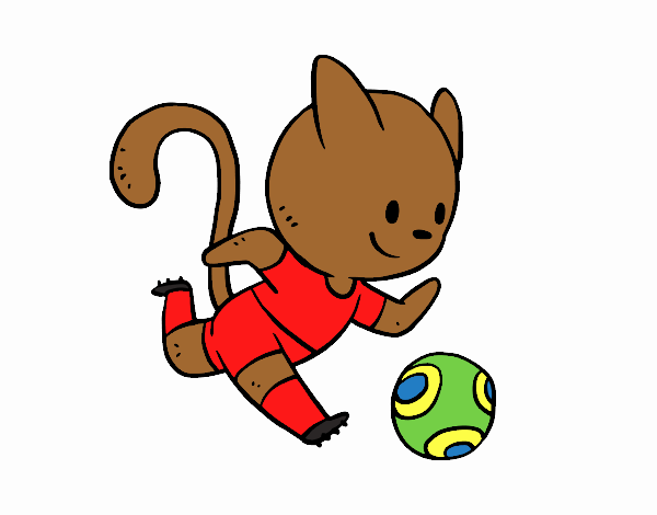 Gato jugando a fútbol