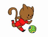 Gato jugando a fútbol