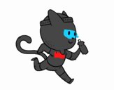 Gato runner