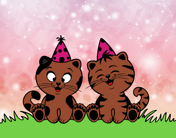 Gatos de cumpleaños