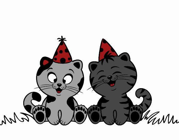 Gatos de cumpleaños