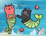 Gatos sirena