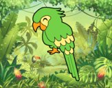 Guacamayo