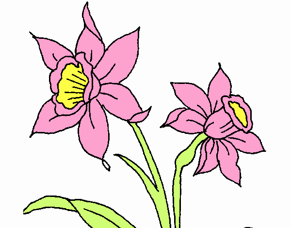 Dibujo de orquidea mi flor pintado por en  el día 28-09-20 a las  03:45:10. Imprime, pinta o colorea tus propios dibujos!