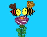 Pareja de abejas